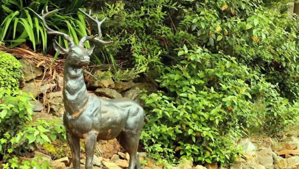 Haytor Hotel Torquay Εξωτερικό φωτογραφία